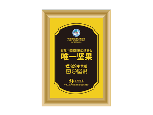首届中国国际进口博览会唯一乐虎lehu唯一官网