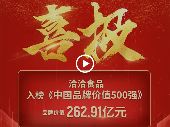乐虎lehu唯一官网500强